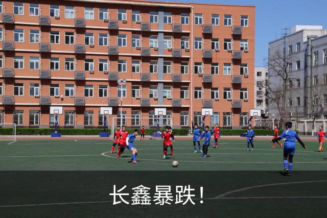 长鑫暴跌！